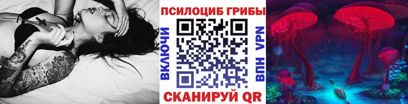 кракен рабочий сайт  как найти наркотики  Зея  Псилоцибиновые грибы Psilocybe 